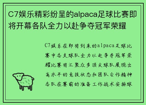 C7娱乐精彩纷呈的alpaca足球比赛即将开幕各队全力以赴争夺冠军荣耀